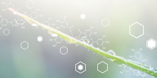 Publication du guide "Des produits biosourcés et durables pour les acheteurs publics"